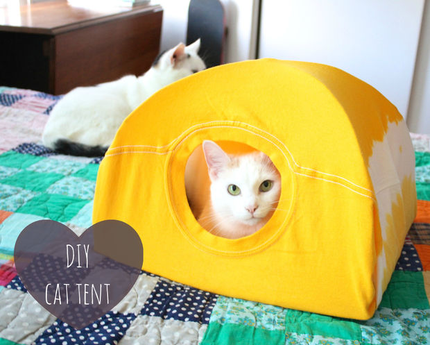 Une tente pour chat.