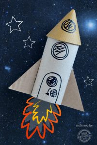 fusée rouleau papier toilette