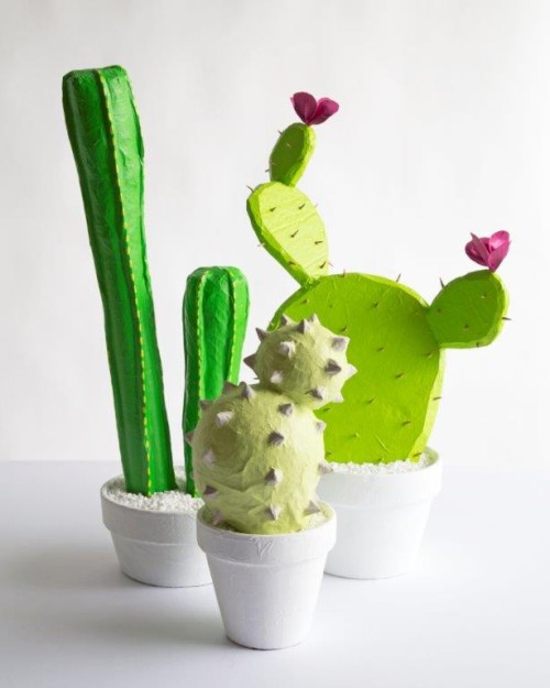cactus en papier maché