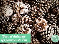 blanchir pomme de pin