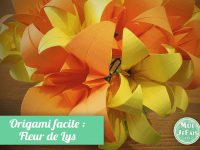 origami facile fleur lys