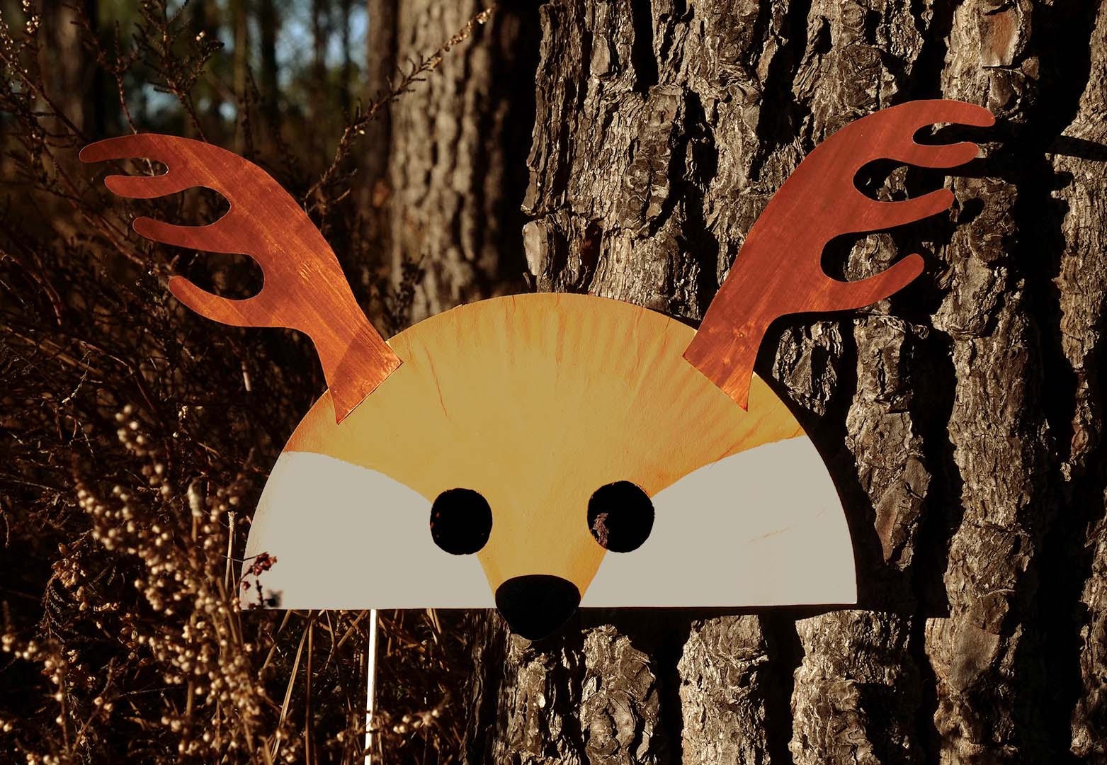Masques à colorier animaux de la forêt en papier