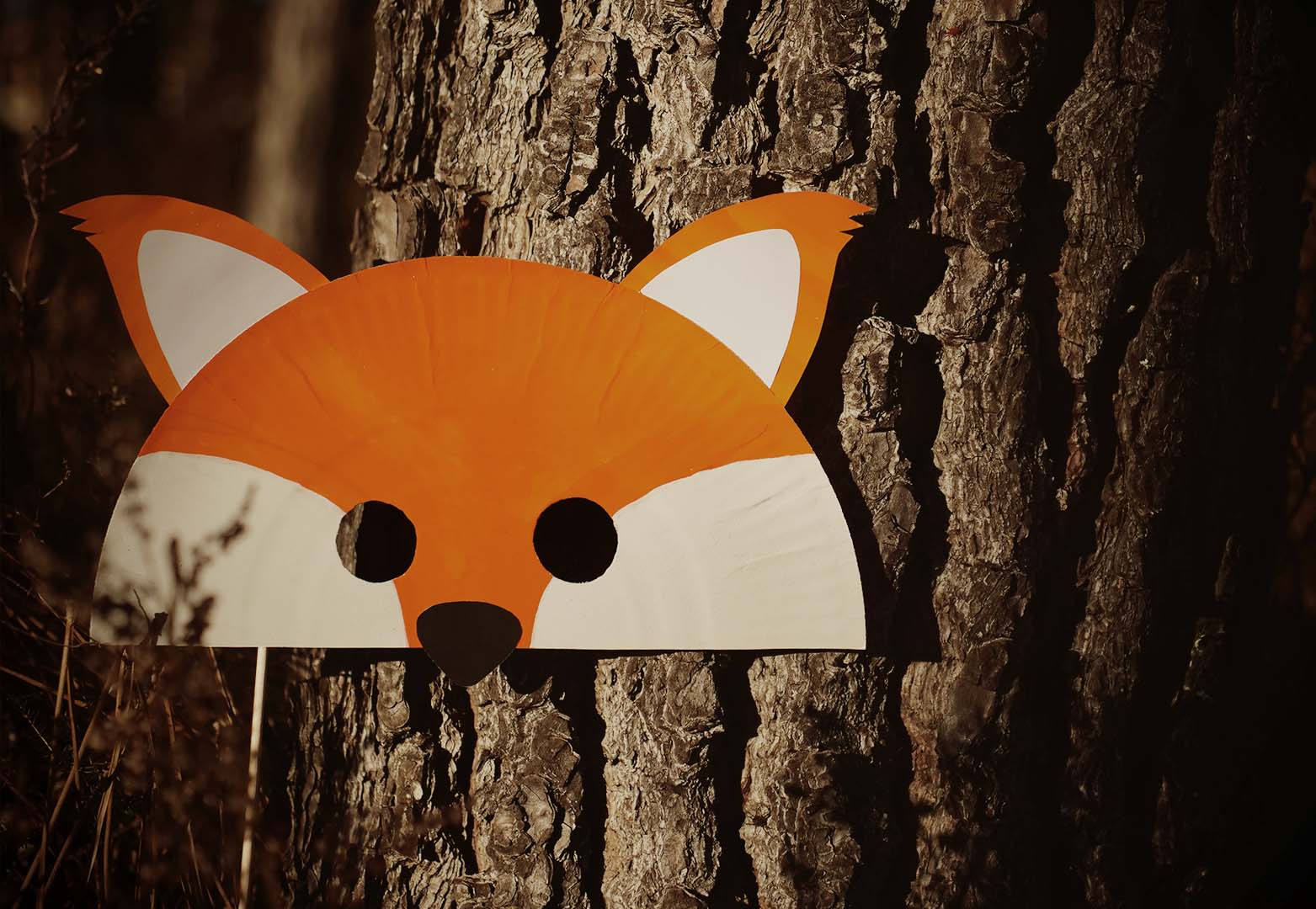 Fabriquer un renard avec une assiette en carton 