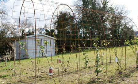 DIY tunnel à rosiers