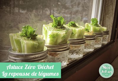 astuce zero déchet légume qui repousse