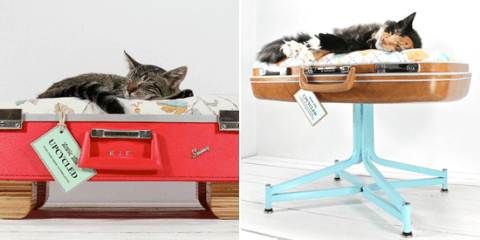 DIY panier à chat