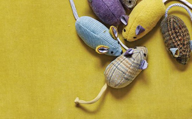 Fabrication : Jouets pour chat