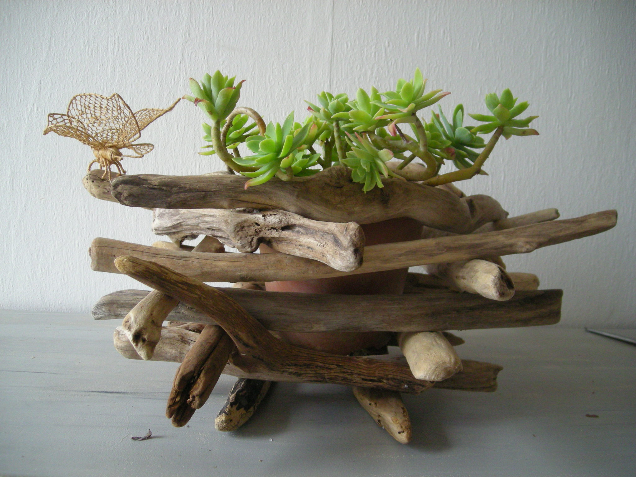 Un cache-pot en bois flotté.