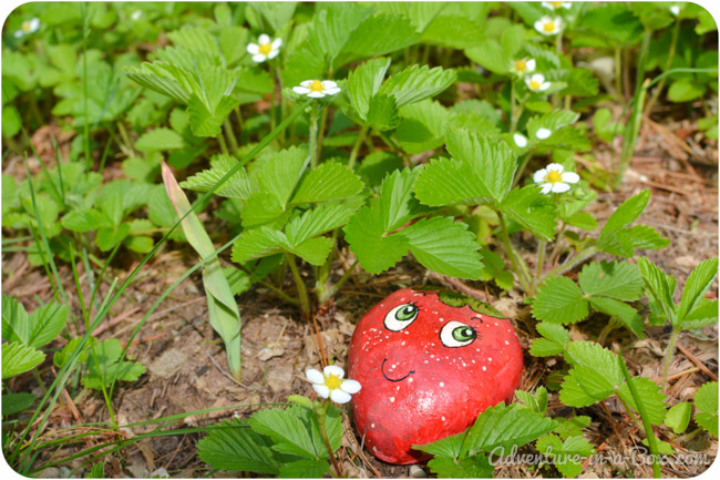 Des marques-plantes pour jardin.
