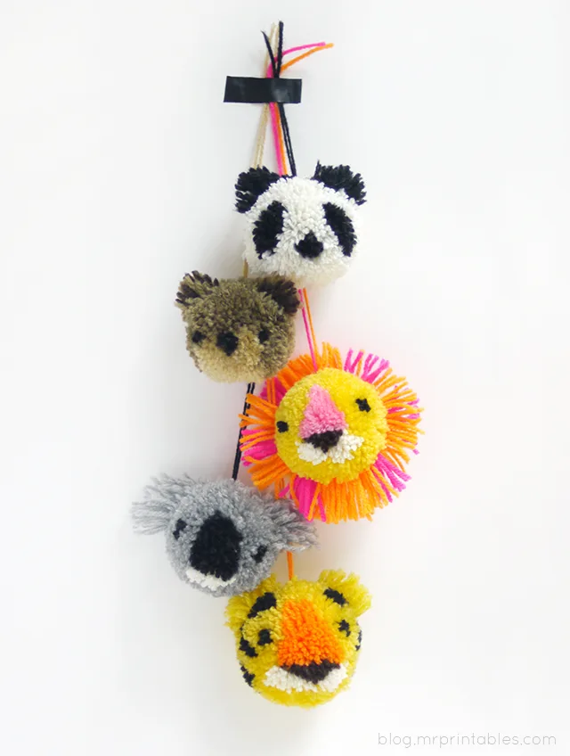 pompon 1