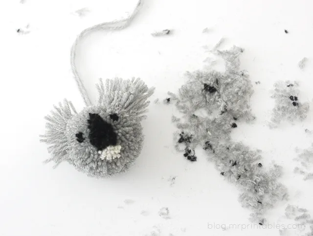 pompon koala 3