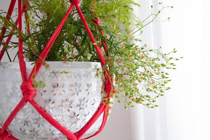 Une suspension pour plantes.