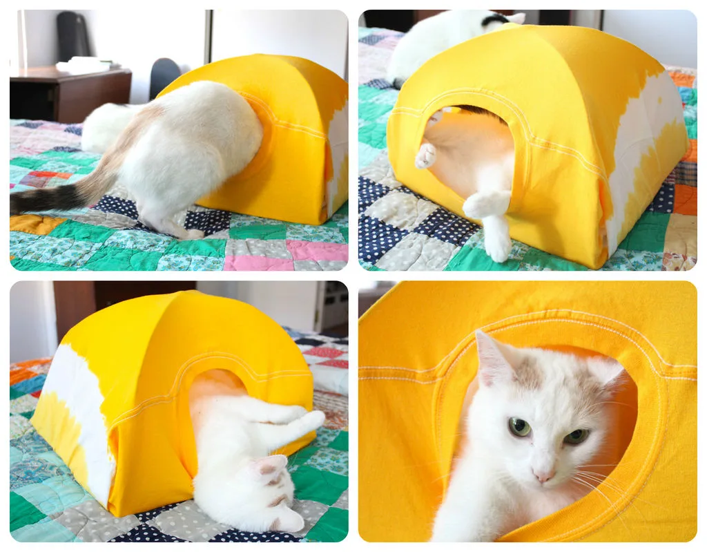 cabane chat
