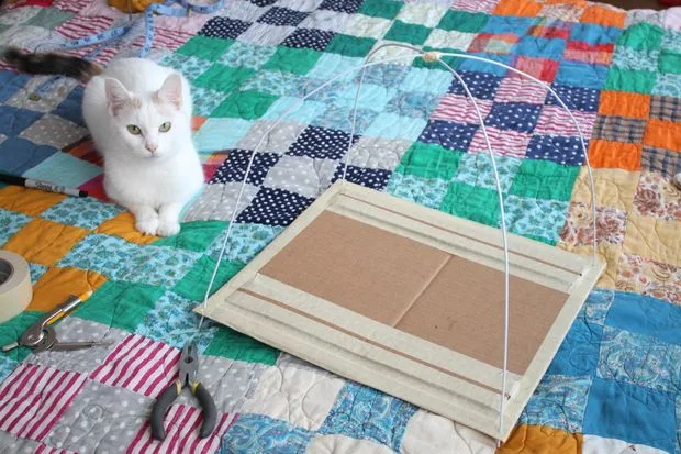 une tente pour chat