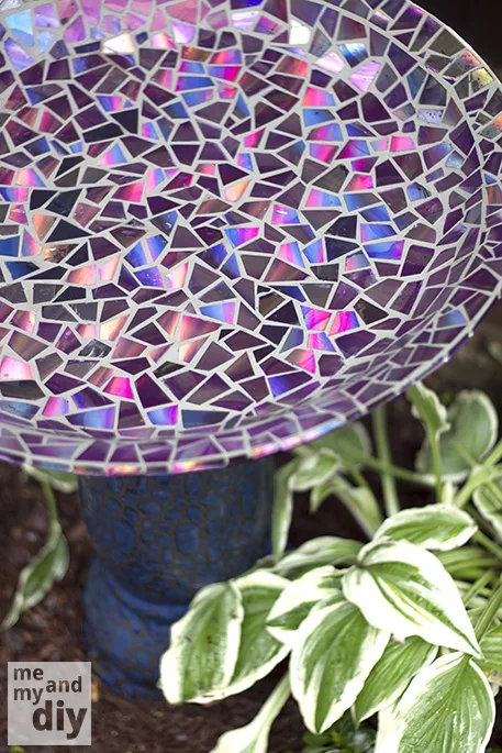 mosaïque dvd 26