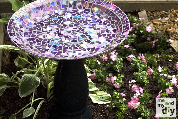 mosaïque dvd 29
