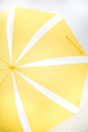 parapluie citron 3