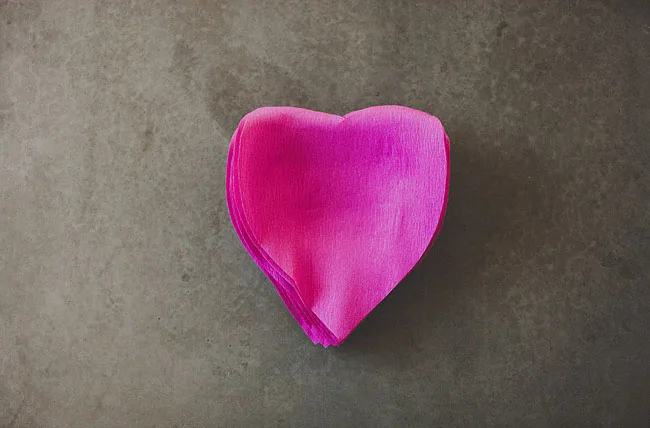 rose géante 4