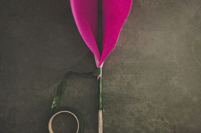 rose géante 8