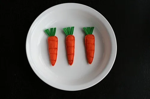 aliments feutrine 8