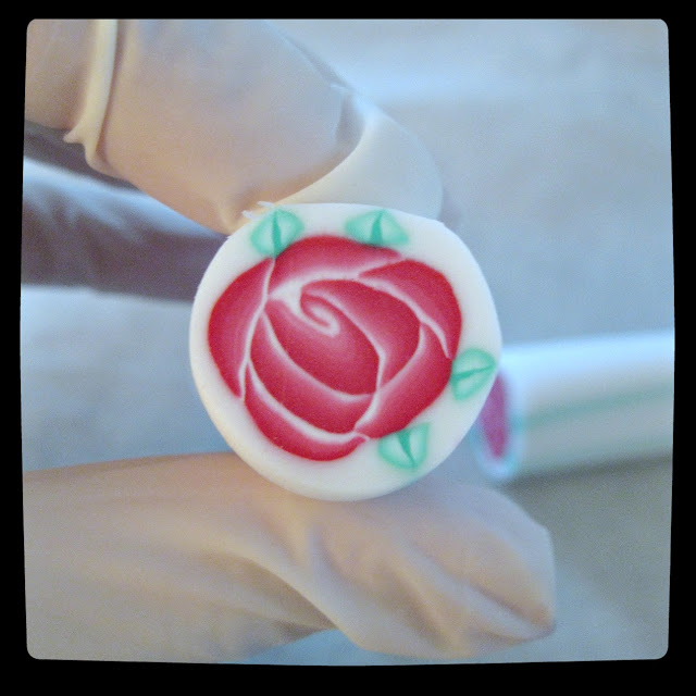 cane rose