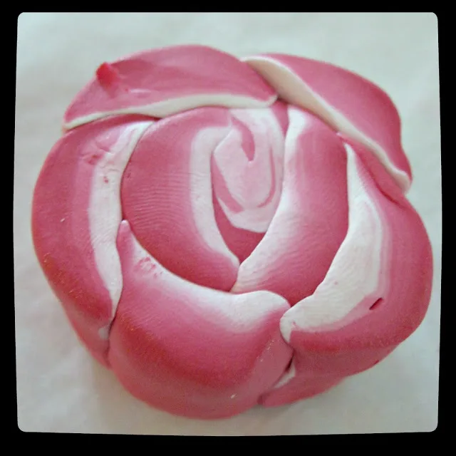 cane rose 19
