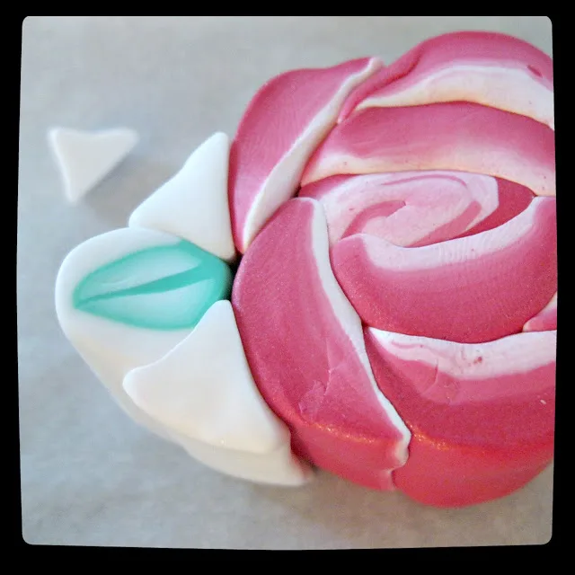 cane rose 20