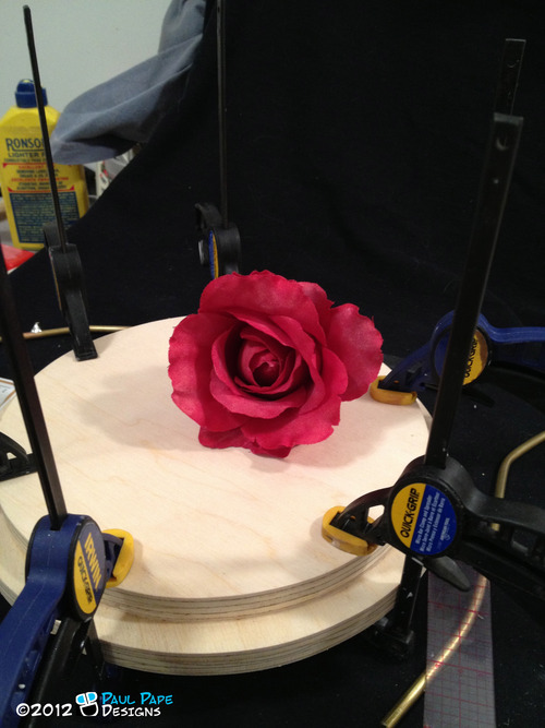 rose la belle et la bête 8