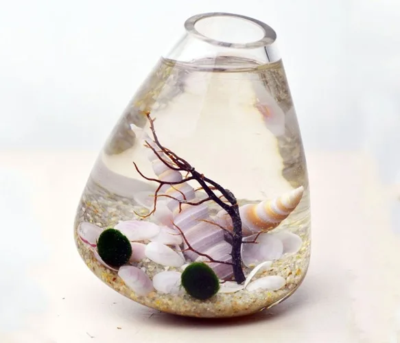 terrarium d'eau 1