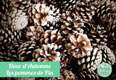 blanchir pomme de pin