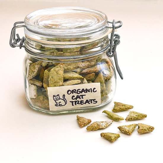 friandises chat