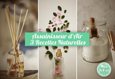 assainisseur d'air naturel