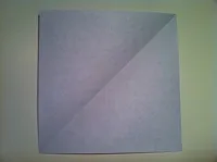 papillon papier