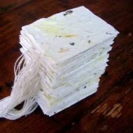 diy carte avec graines