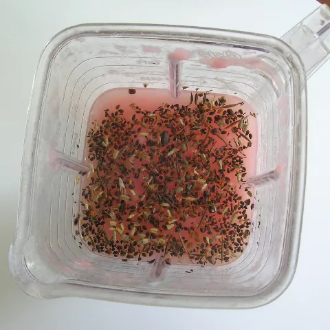recette papier à planter