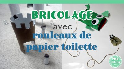 cover bricolage rouleau papier toilette