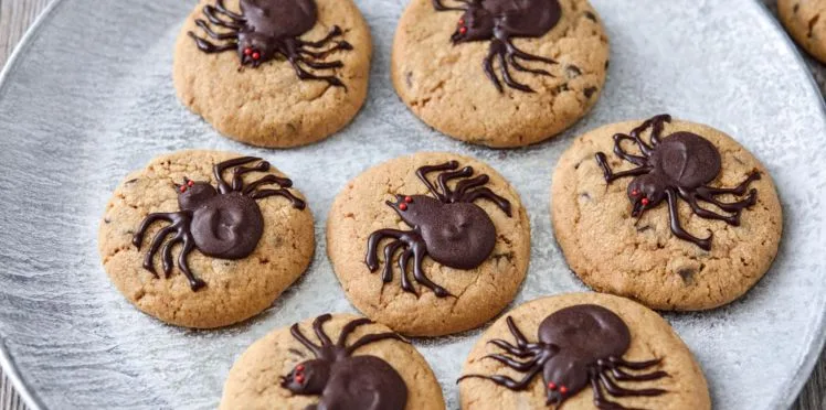 biscuit araignée halloween
