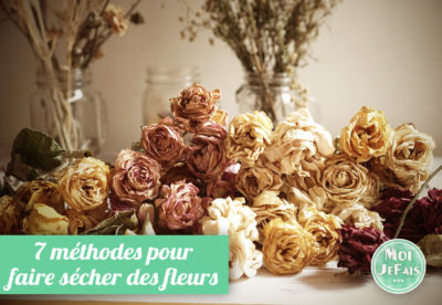 comment faire sécher des fleurs