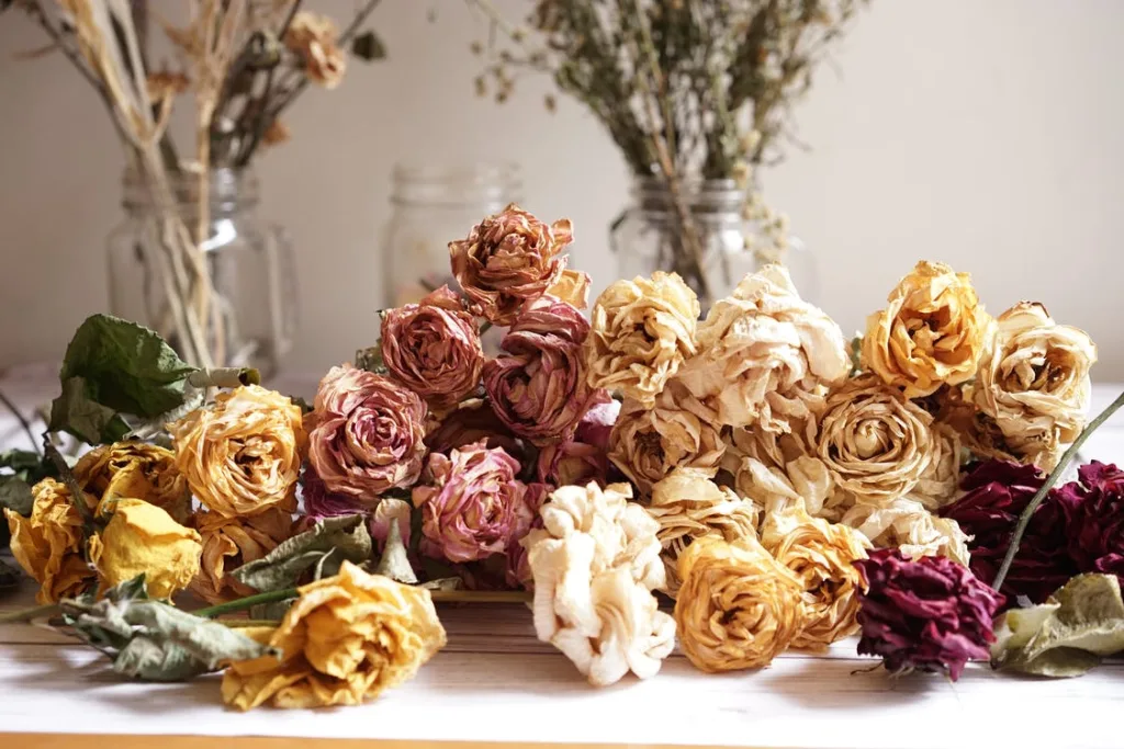 comment faire sécher des fleurs