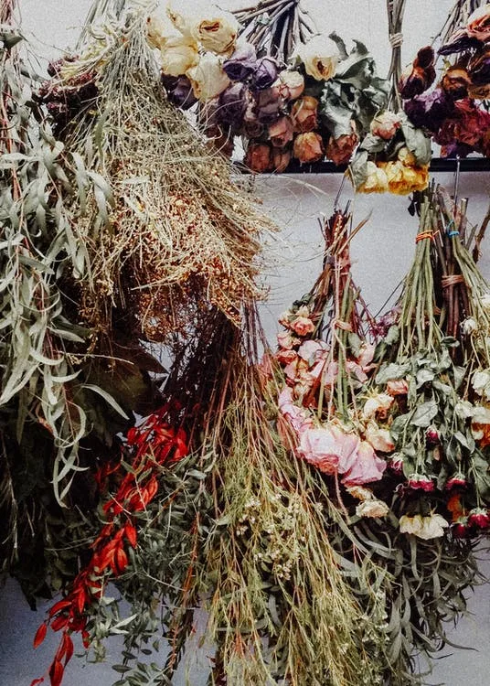 comment faire sécher un bouquet de fleurs